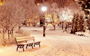 bench-night-winter-wallpaper